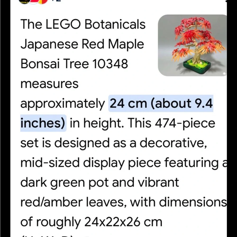 LEGO Botanical Collection Japanese Ted Maple Bonsai Tree 10348 Top of box Open
